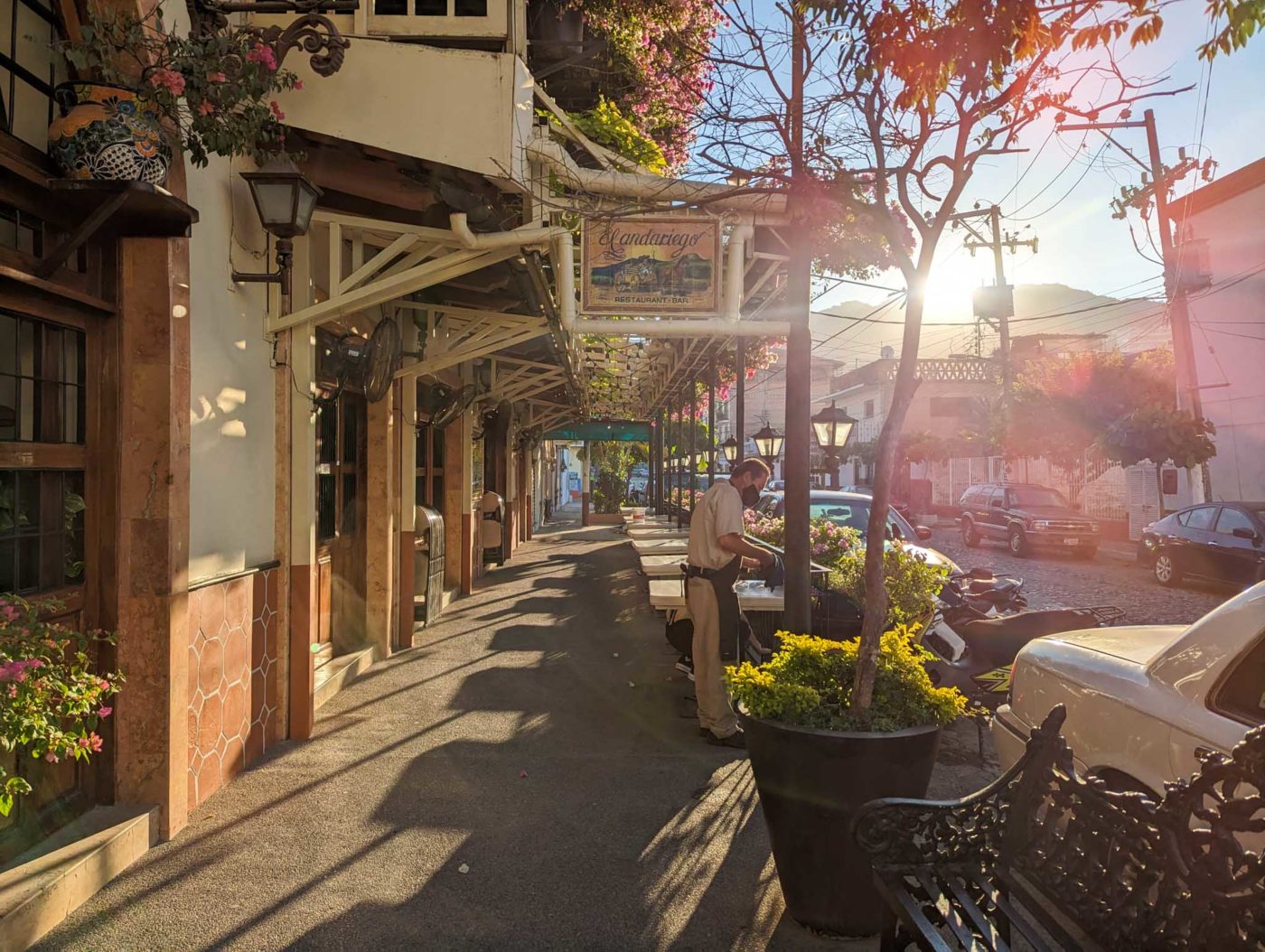 a city street lined with parked cars and potted plants.