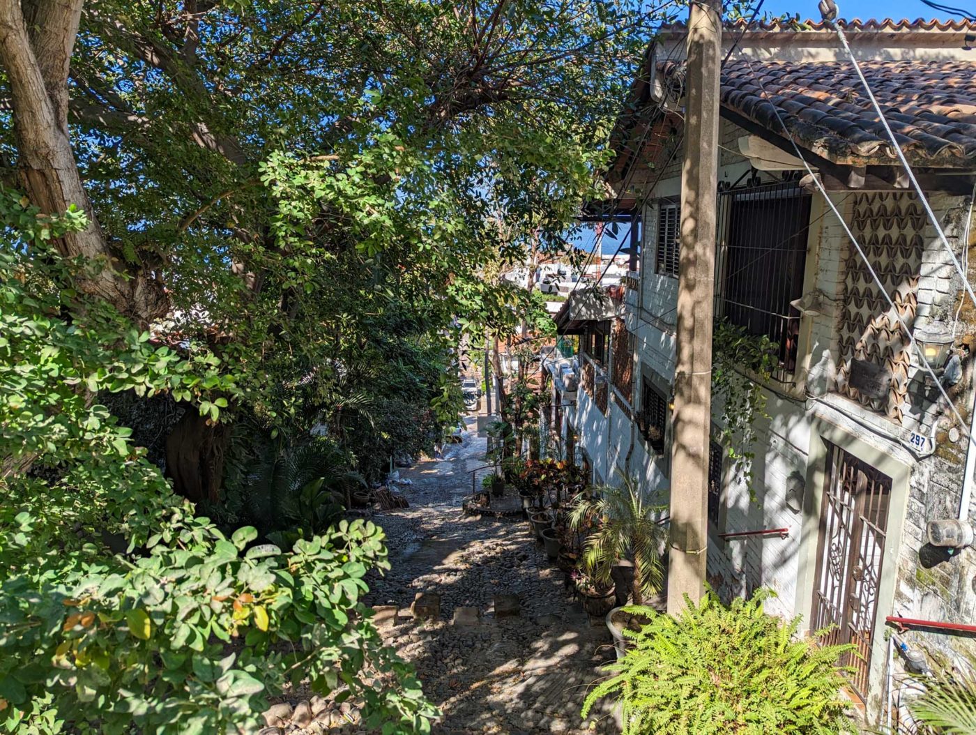 a narrow street with a building and trees.