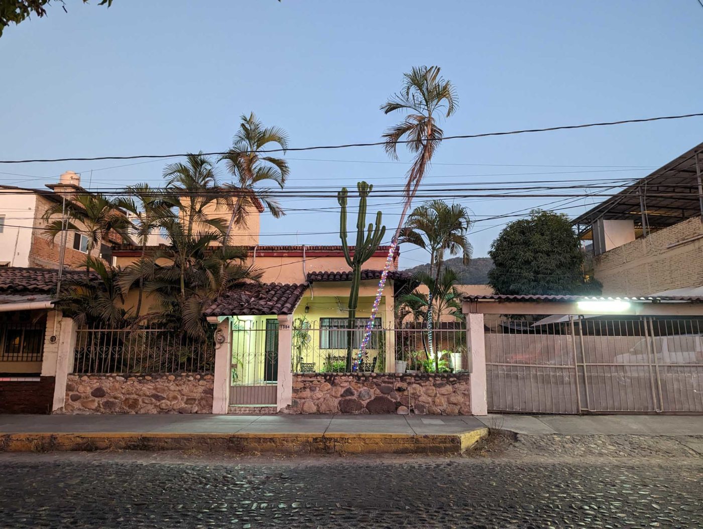 a house with palm trees in front of it.