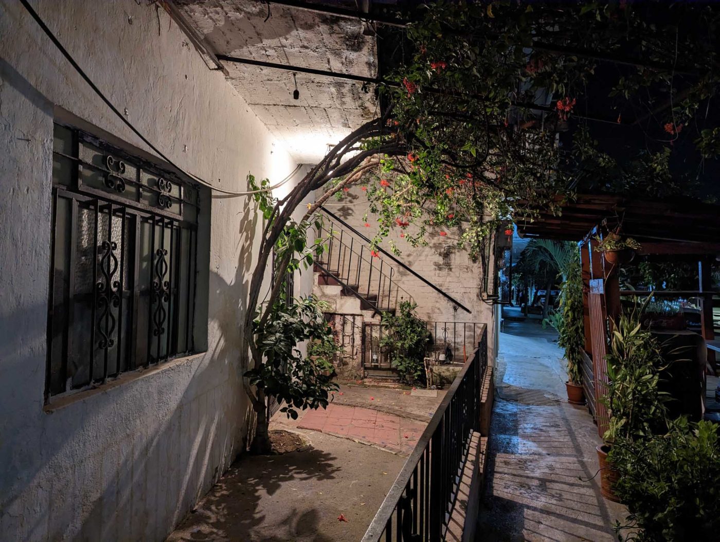 a stairway leading to a building with a tree growing on it.