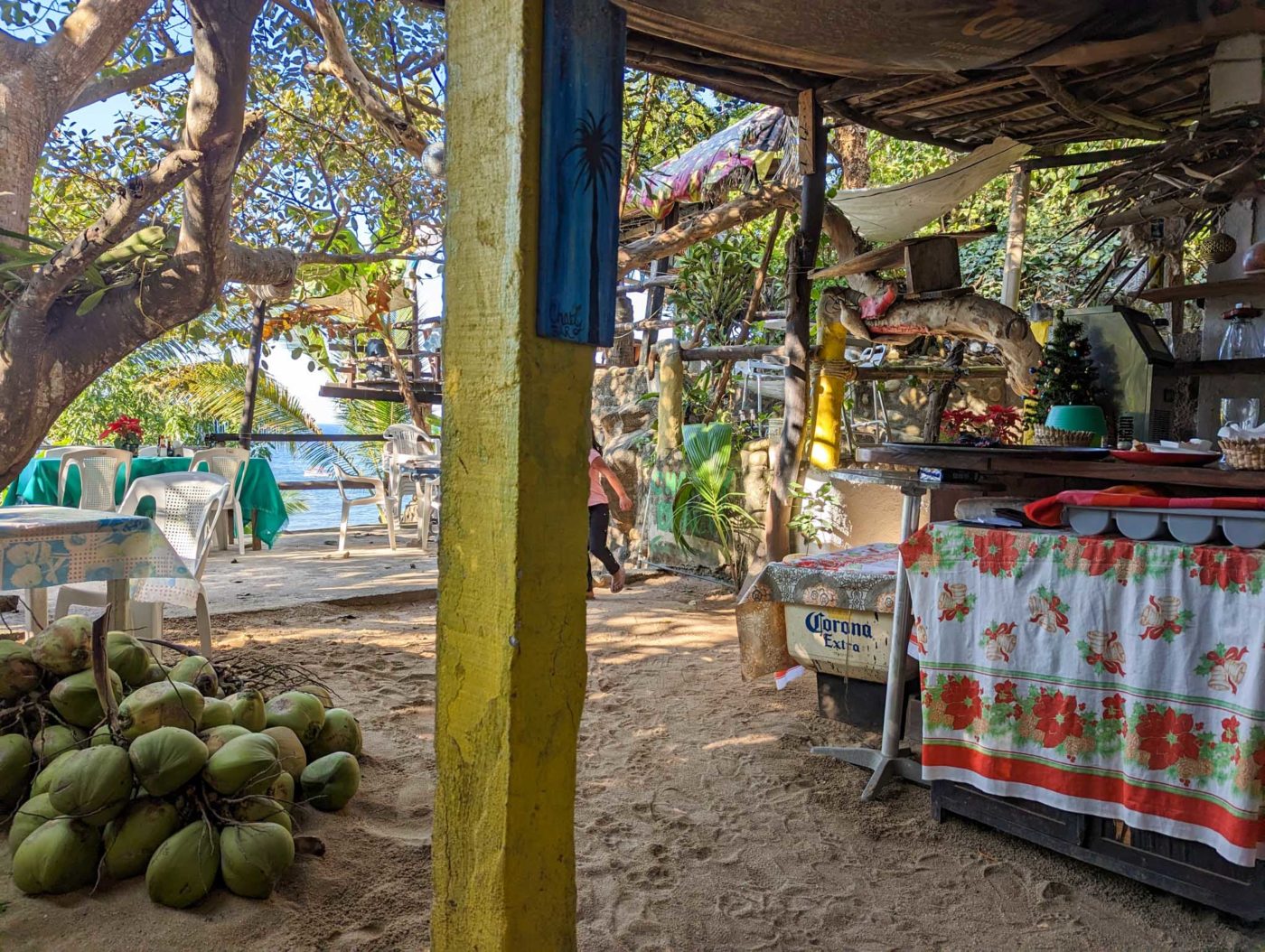 a bunch of coconuts sitting on the ground.