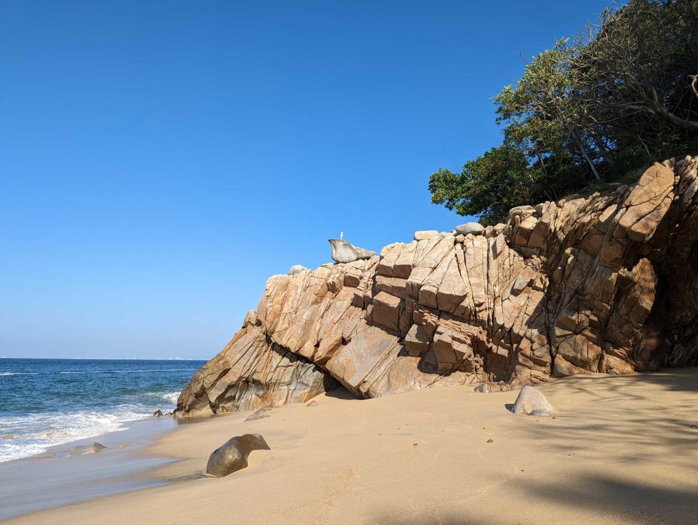 a beach with rocks and a tree on top of it.