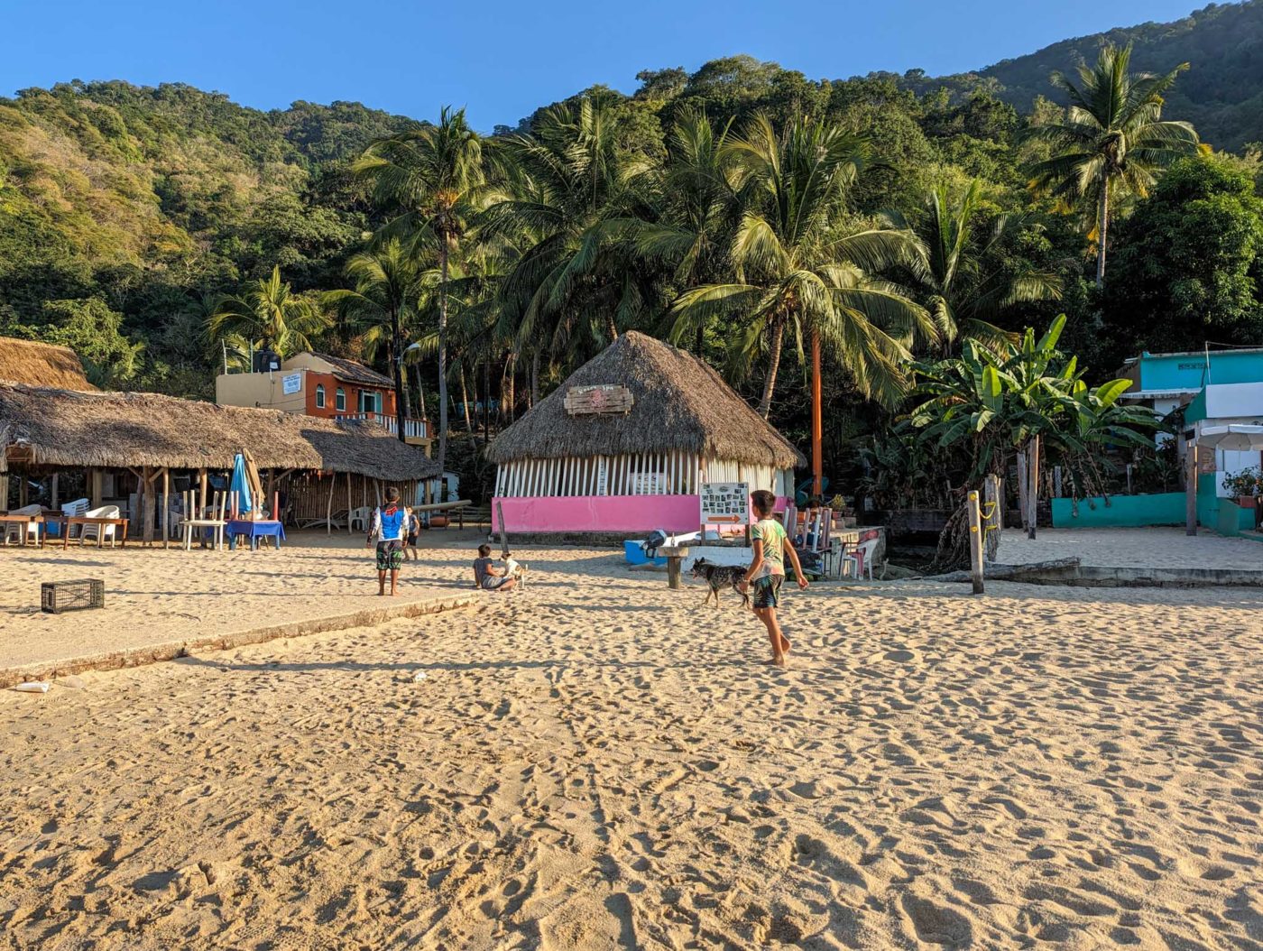 a beach area with a hut and palm trees.