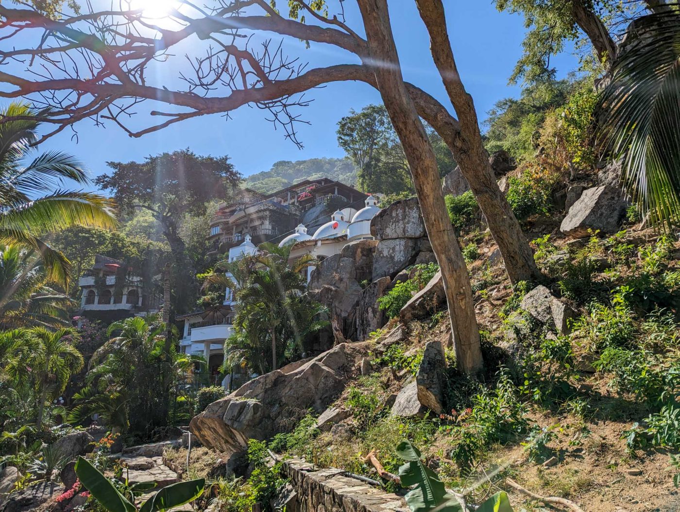 a house on a hill surrounded by trees.