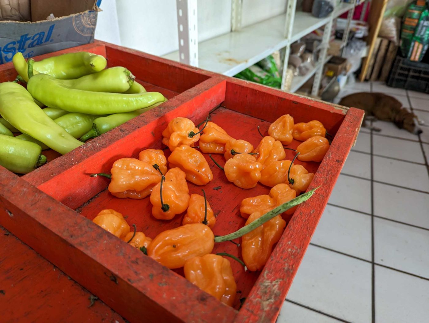 a red box filled with green peppers next to a pile of green peppers.