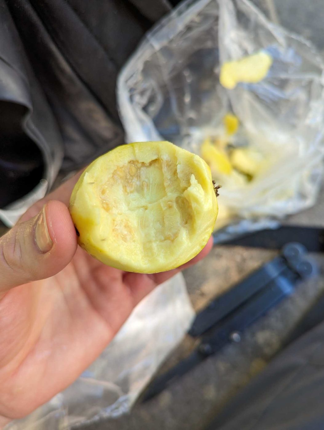 a person holding a piece of food in their hand.