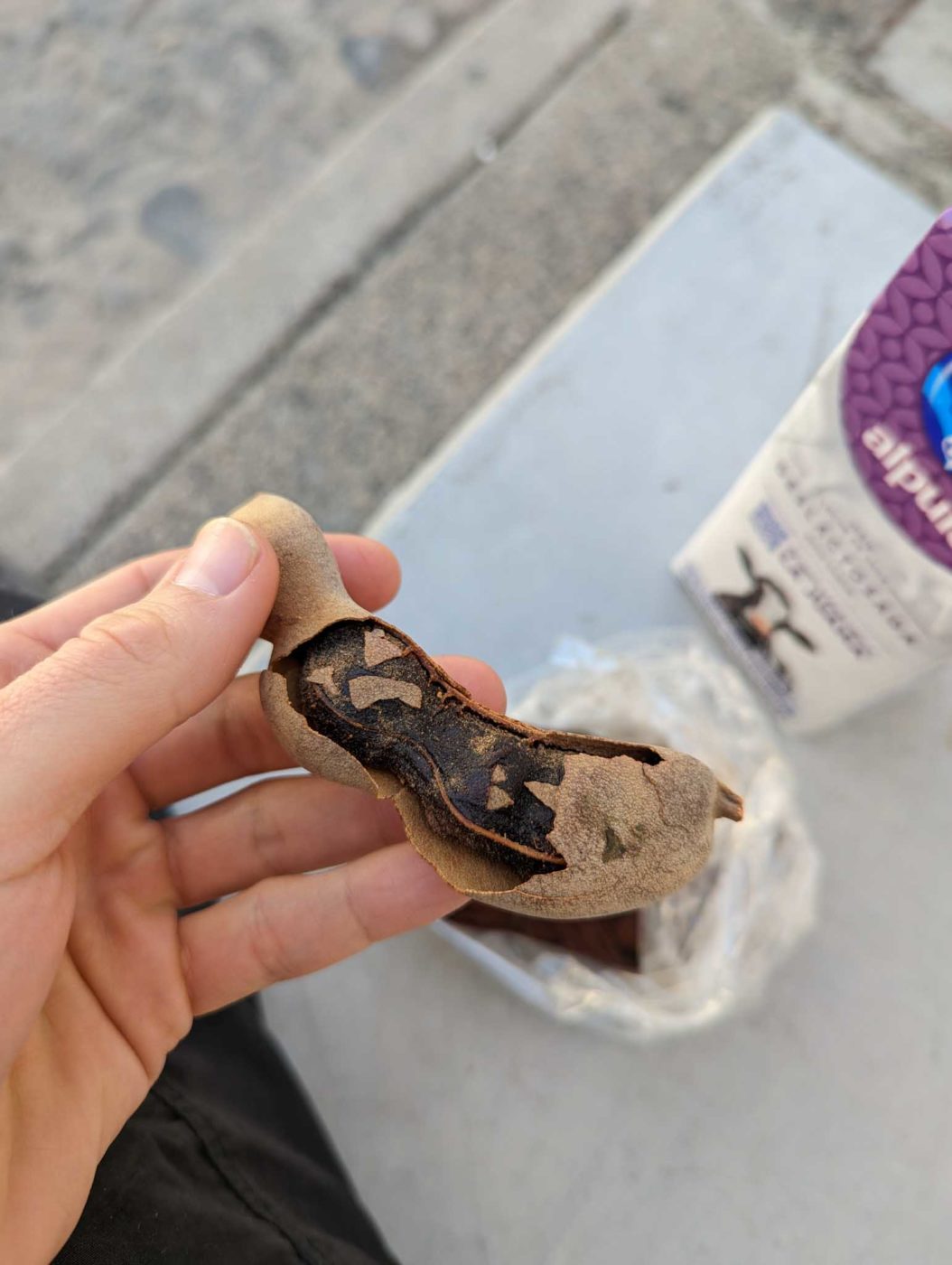 a person holding a piece of food in their hand.